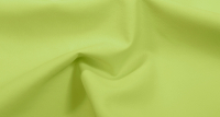 Экокожа-lt-green_3