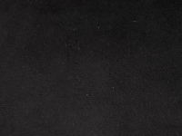 LION BLACK