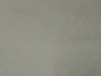 LION GREY