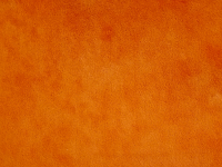 BALI 10