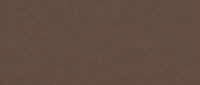 NEVADA 23