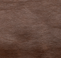 Экокожа Sara Brendi