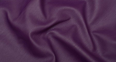 Carnaval_Plum_3