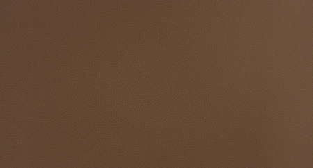 LIFE_CAMEL_1