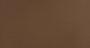 LIFE_CAMEL_4