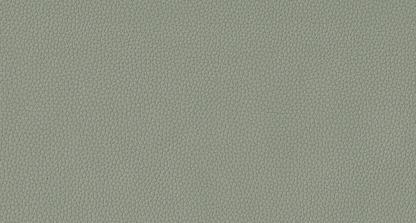 Искусственная кожа LIFE GRAY MORN