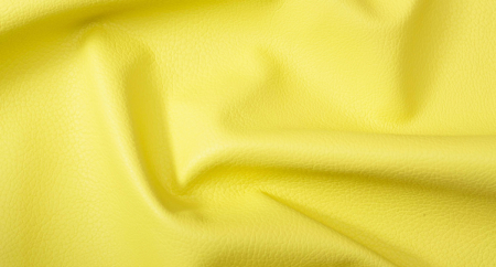 Carnaval_Amarillo_3