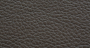 Softar_13_2