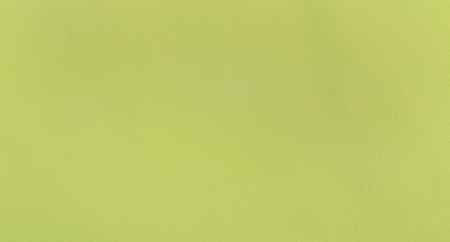 Экокожа-lt-green_1