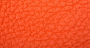 Carnaval_Calabaza_2