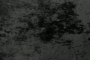 Dolore-59_4