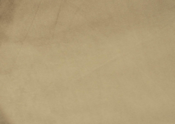 Мебельный велюр RIVIERA 24