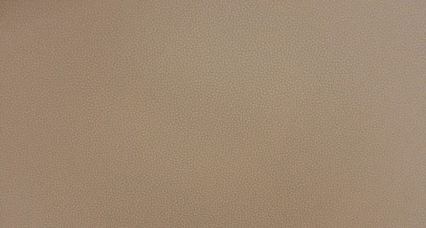 Искусственная кожа LIFE ACORN