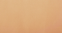 Cordova_Trigo_4