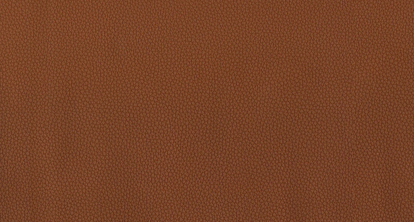 Искусственная кожа LIFE CAMEL