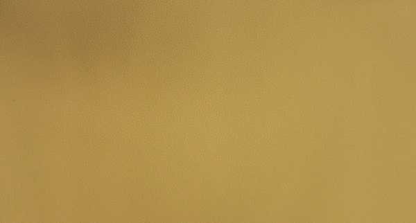 Искусственная кожа LIFE HONEY