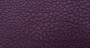 Carnaval_Plum_2
