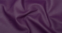 Carnaval_Plum_2