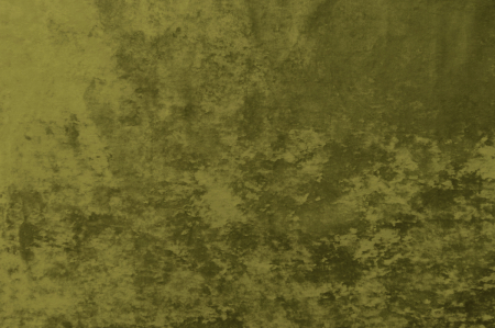 Dolore-36