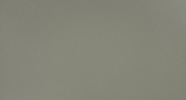 Искусственная кожа LIFE GRAY MORN