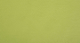 Carnaval_Claro_Verde_2