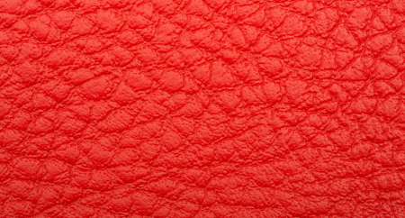 Carnaval_Rojo_2