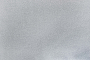 Daisy-19_4(1)