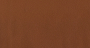 LIFE_CAMEL_4