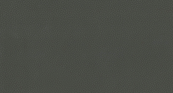 Искусственная кожа LIFE SHADOW