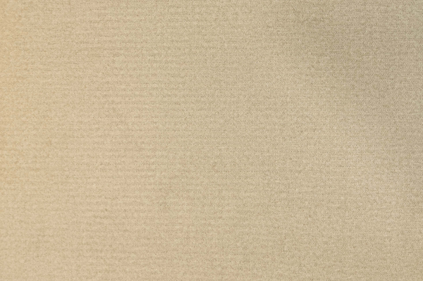 Мебельный велюр DAISY 07