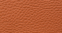 Softar_11_2