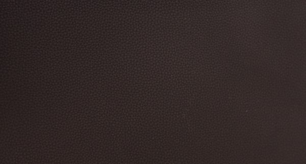 Искусственная кожа LIFE RAISIN