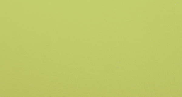 Экокожа-lt-green_2