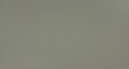 LIFE_GRAY_MORN_1