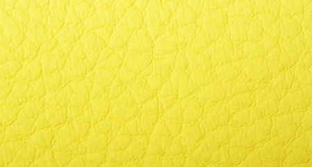 Carnaval_Amarillo_2