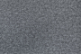Daisy-22_4(1)