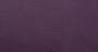 Carnaval_Plum_2