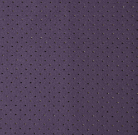 перфорация violet