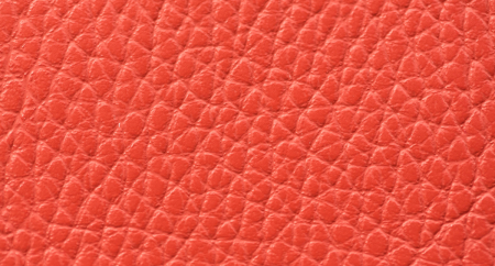 Softar_12_2