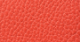 Softar_12_2