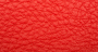 Carnaval_Rojo_2
