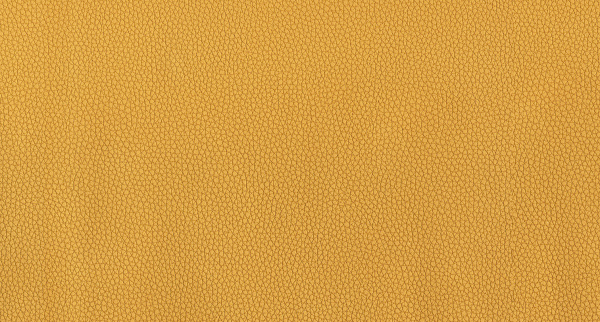 Искусственная кожа LIFE HONEY