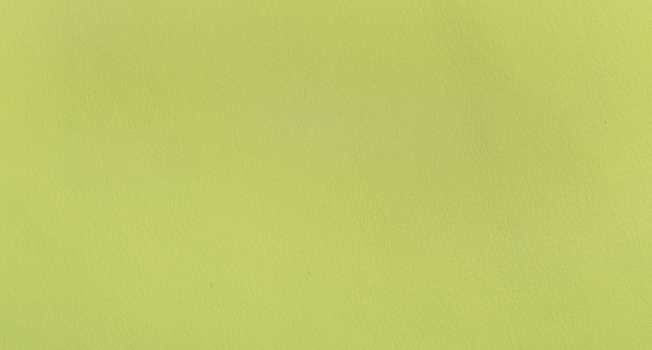 Обивочная ткань Экокожа lt-green (Салатовый)