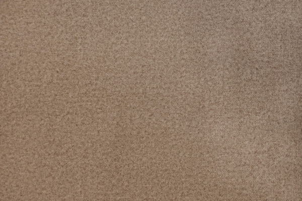 Daisy-03(1) Daisy-03(1)