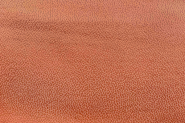 SOLAR-23_2 SOLAR-23_2