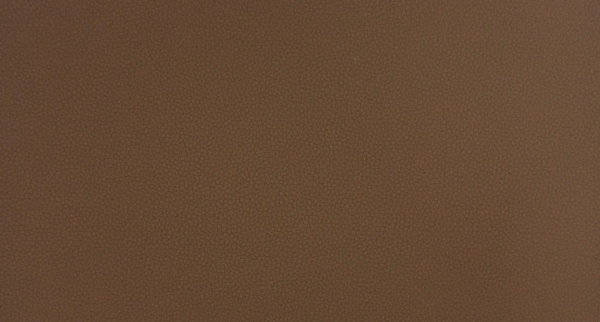 Искусственная кожа LIFE CAMEL