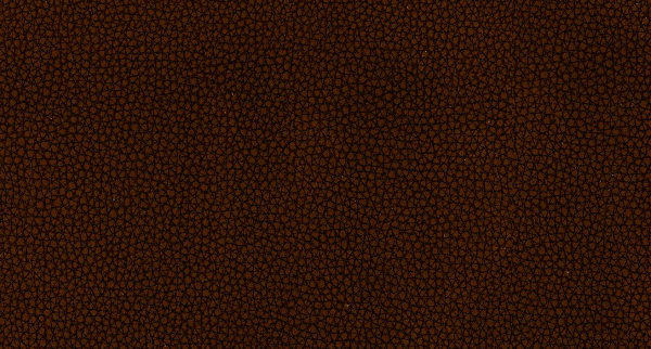 Искусственная кожа LIFE RAISIN