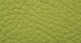 Carnaval_Claro_Verde_2