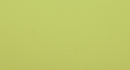 Экокожа-lt-green_2