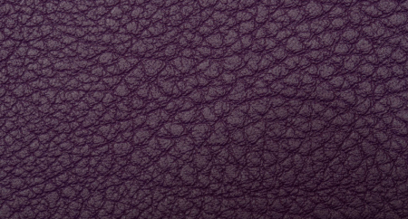 Carnaval_Plum_2